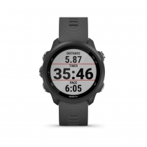 Garmin Forerunner 245 Gris