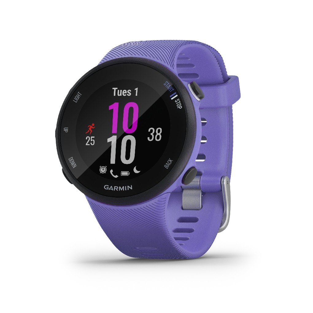 Garmin Forerunner 45S Iris