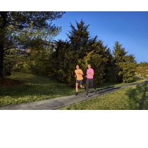 GARMIN FORERUNNER 55 BLANCO GARMIN FORERUNNER 55 BLANCO