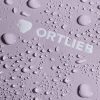 Alforjas Ortlieb BACK-ROLLER QL2.2 Alforja 20l. Tidura Strong Individual Cremallera Lavender