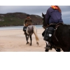 Sacoches Ortlieb Horse-Trekking para Caballo 2 bolsas de 30L noir